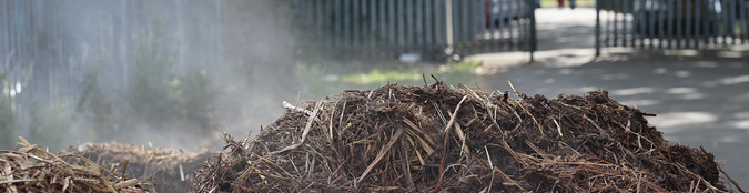 smoldering pile of mulch