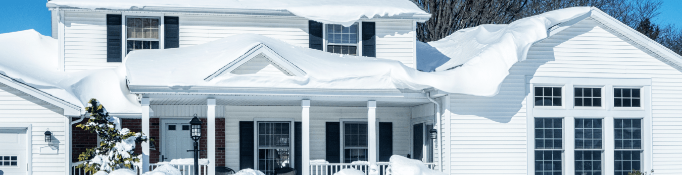 Winter Storm